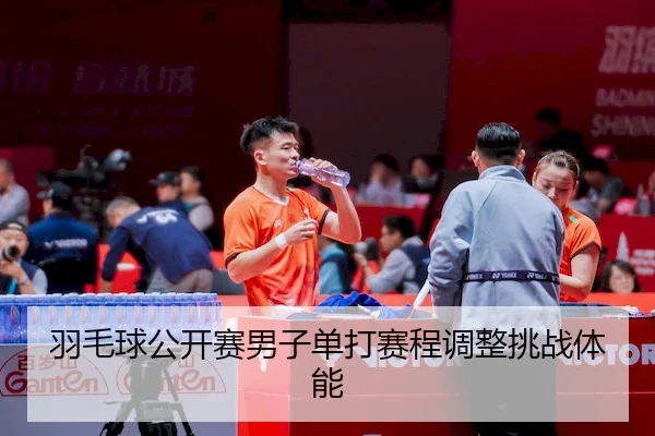 yu-mao-qiu-gong-kai-sai-nan-zi-dan-da-sai-cheng-tiao-zheng-tiao-zhan-ti-neng-1-793.jpg